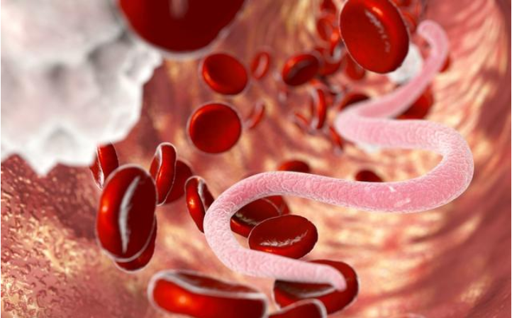 孩子肚子里有蛔虫,他会用这些举动告诉你!