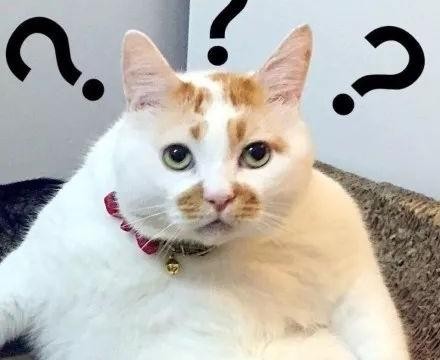 替一款车型起个中文名就能去看世界杯，这种好事去哪找？