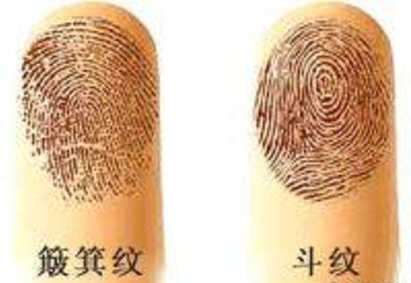 手上长几个斗，暗示你旺夫又发财！