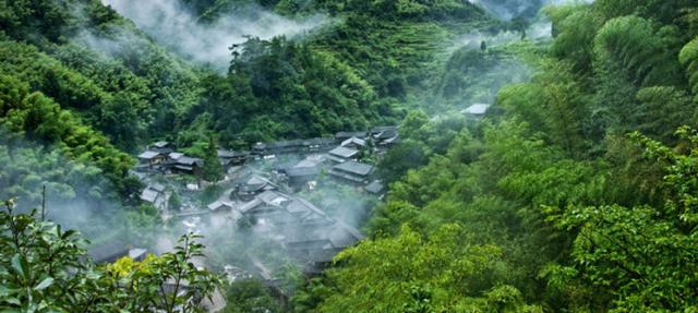 跟着山水诗游温州丨李白：谢公离别处，风景每生愁！