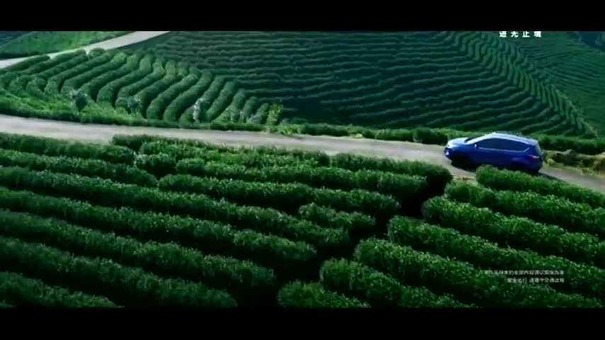 福特 SUV王者 开启出色旅程