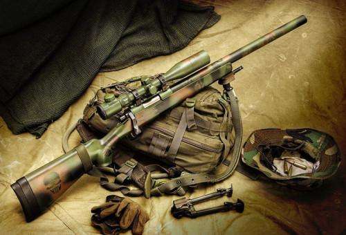 2020世界十大狙击步_世界十大狙击步枪中国狙击枪没上榜(2)