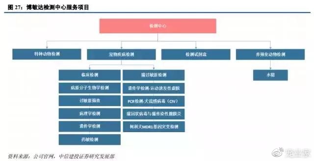 中信建投研报:继宠物医院、食品之后,第三方检