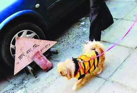 纯属扯淡!居然有94%的车主都相信的车界5大谣