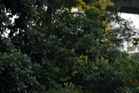 既能拉货摆地摊，也能满载7人自驾游，有液晶仪表，顶配不到9万