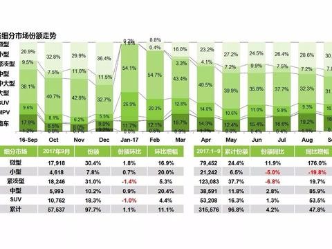 对于新能源汽车需要冷静再冷静