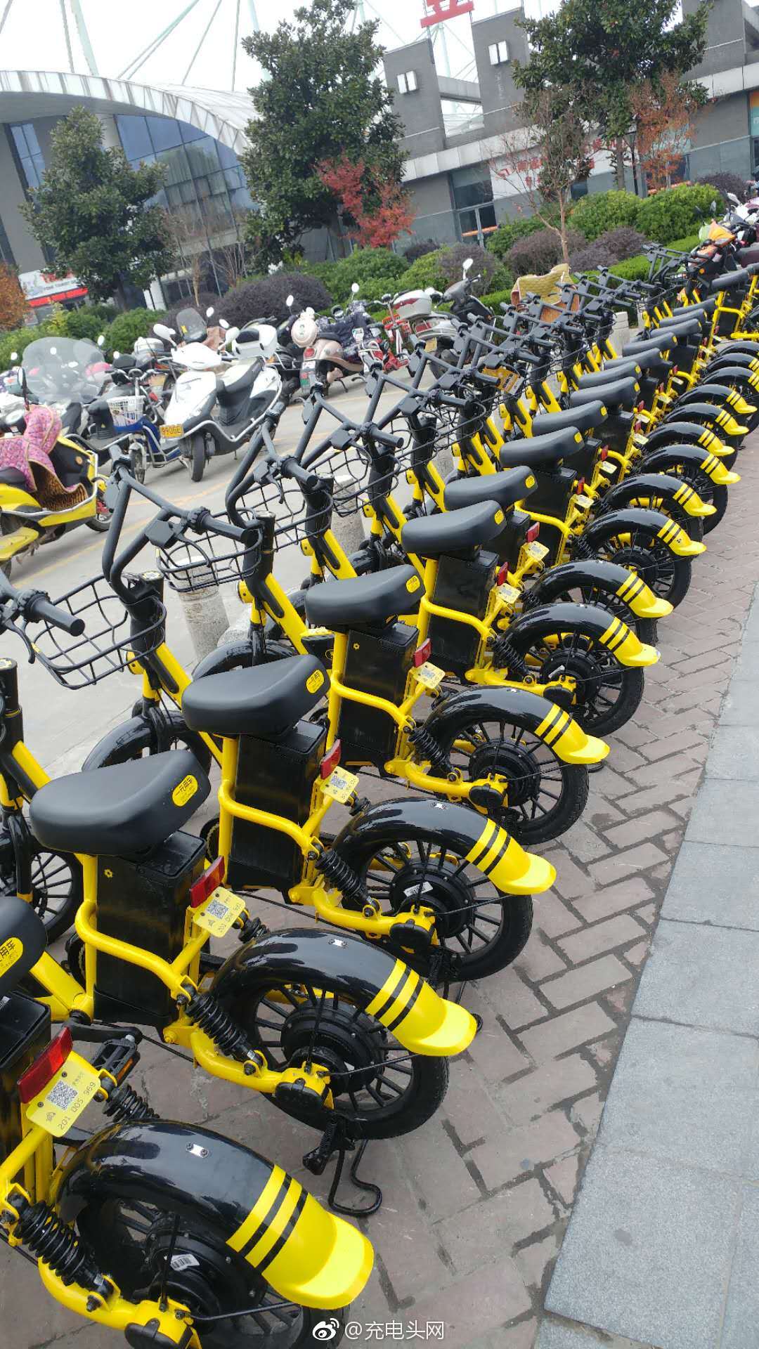 押金188元,蜜蜂出行推出共享电单车