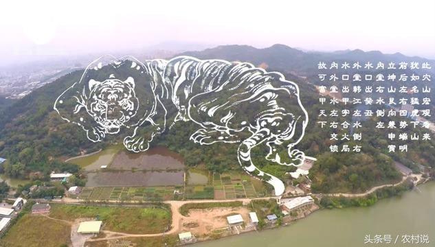 农村选墓地三大依据，可使后代财源广进