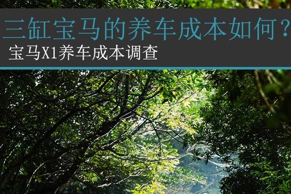 三缸宝马的养车成本如何？宝马X1调查