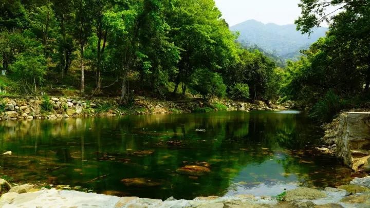 云湖国家森林公园