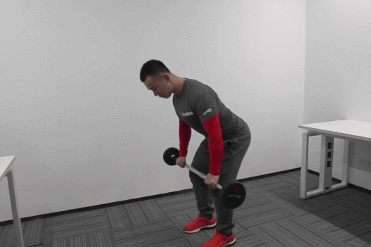 还在为背部肌肉不发达而忧愁吗?教你打造强壮的倒三角