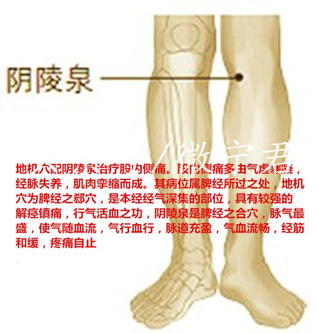 人体救急神药--郄穴,心脏病突发、心绞痛、胃疼