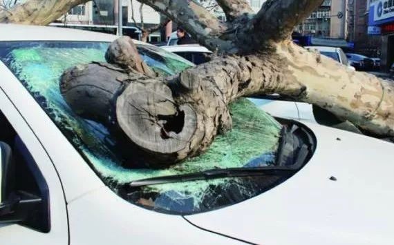 “汽车保险“又有文章更新啦，快来看看吧