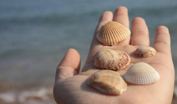 想带3岁宝宝出去旅游,老公却说小孩记不住3岁