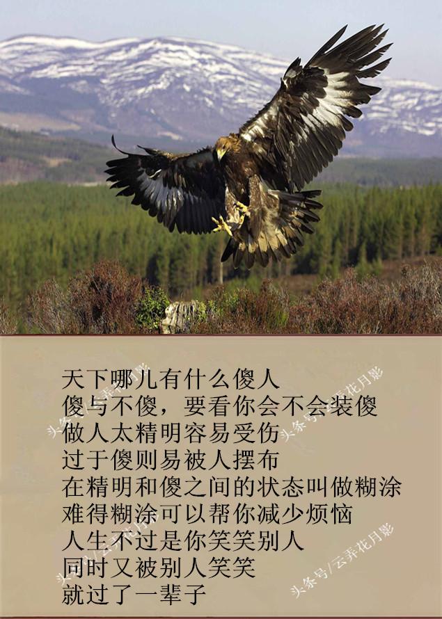 做人的原则:低头做人,抬头做事;低头要有勇气,抬头要有底气