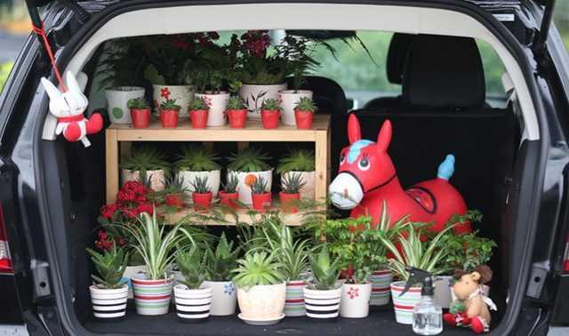 汽车后备箱放这些东西?当心爱车变废车