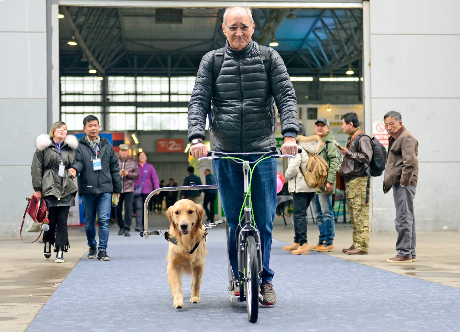 老外在中国训犬8年 70岁创中国首台遛狗神器