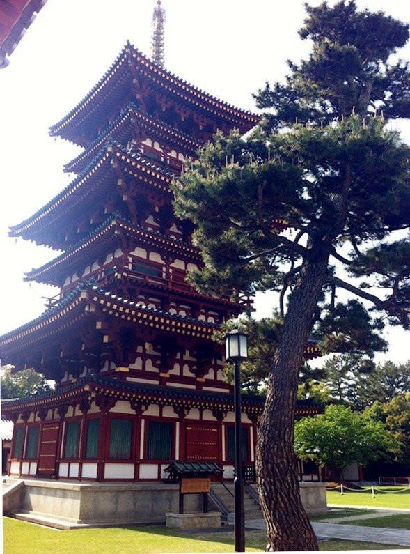 日本古都奈良,这里是缩小的长安城,到处是汉字完全不用担心迷路