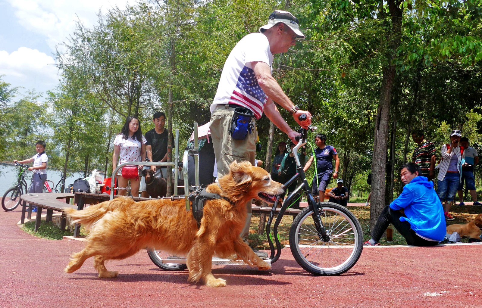 老外在中国训犬8年 70岁创中国首台遛狗神器