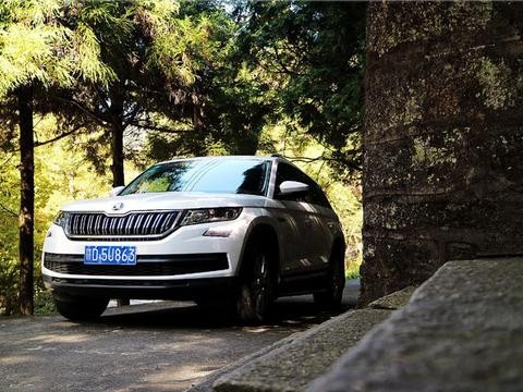 柯迪亚克：大熊相伴 给您温馨与安全的守护