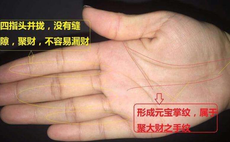 手相中很多细节能看出一个人,手掌中多了一条