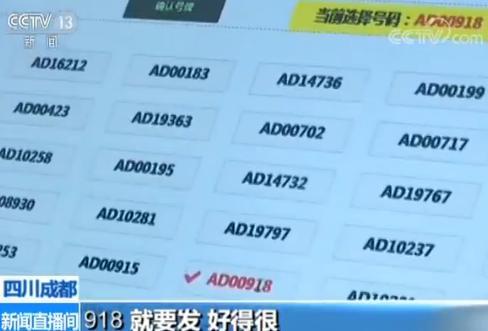 新能源车将配专用车牌 2018年全国范围内正式