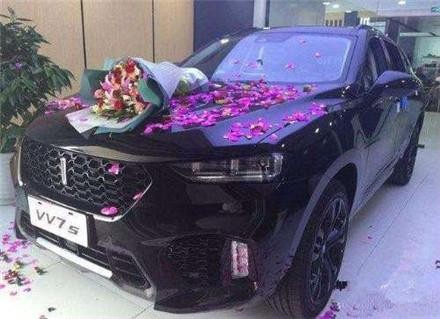 浙江一男子提长城VV7，开了800公里，什么都好，唯独一点受不了