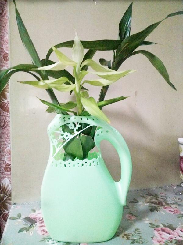 老公把洗衣液瓶这样一改,好几件家具不用买了