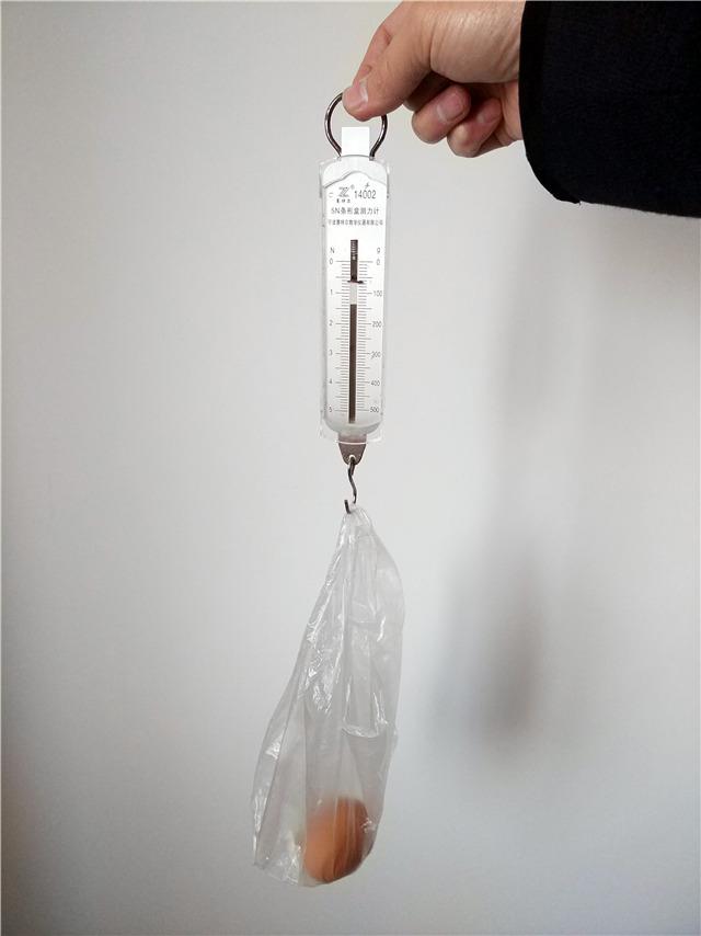 一个鸡蛋大约有多重?很多中学生一开始学物理