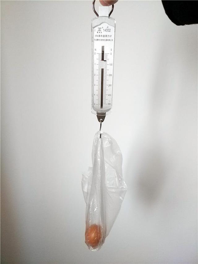 一个鸡蛋大约有多重?很多中学生一开始学物理