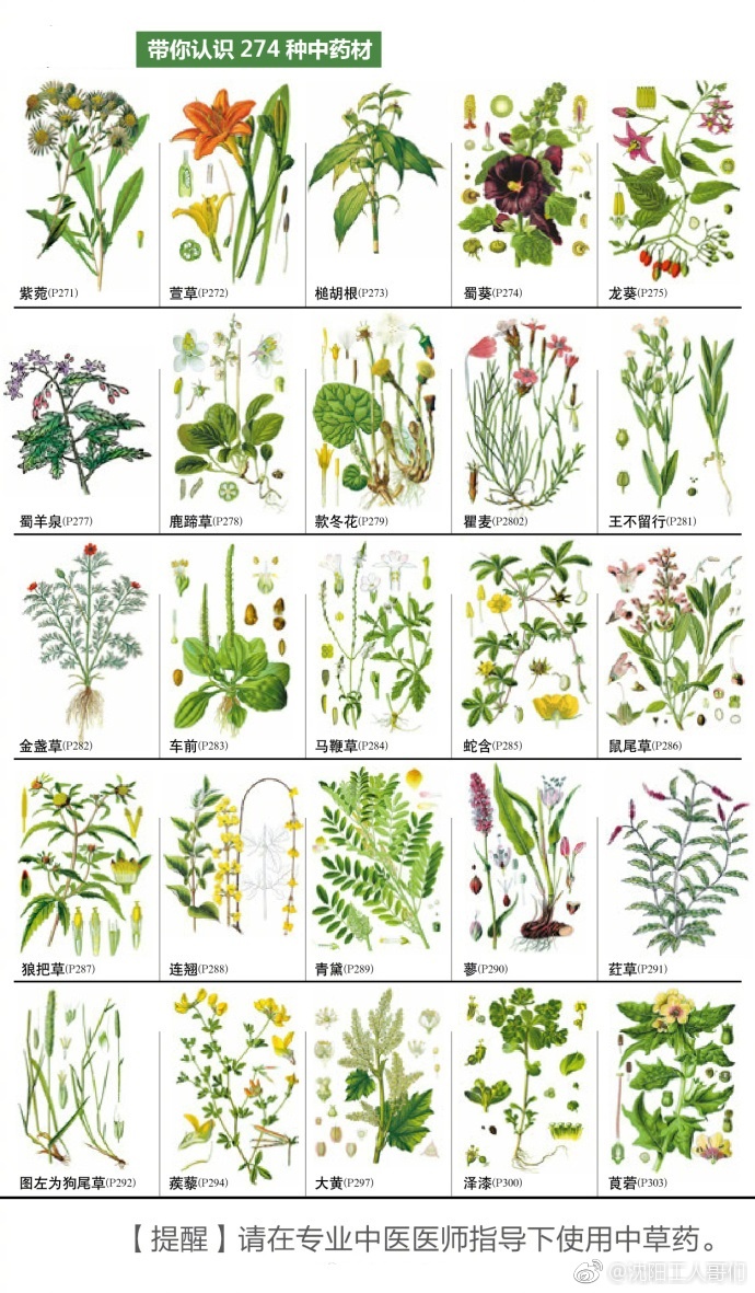 274种中草药,你认识几个?