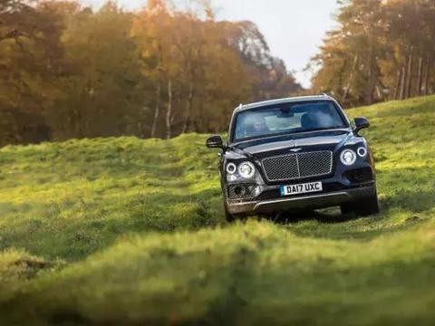 宾利，猎枪和狗！