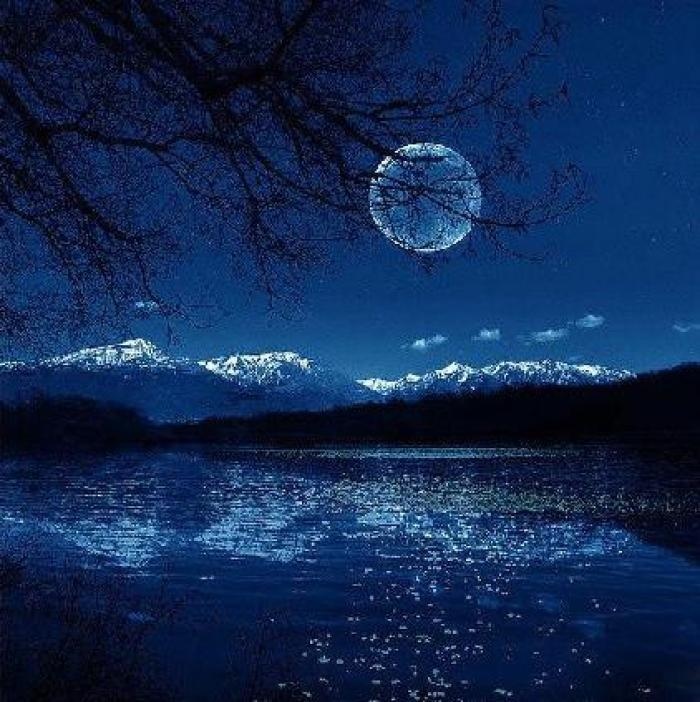 在寥廓的月夜,有多少遥远的思念与缠绵的思绪!