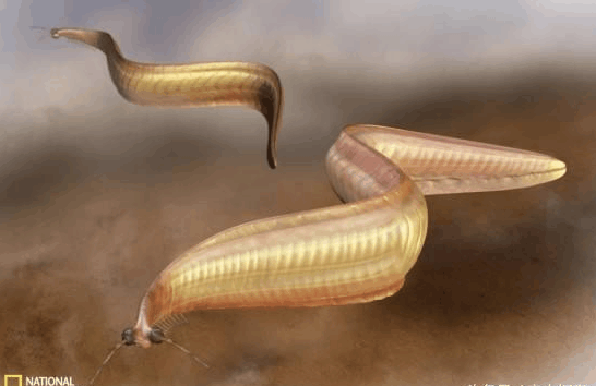 22亿年前史前地球上的微生物或不需要氧气生