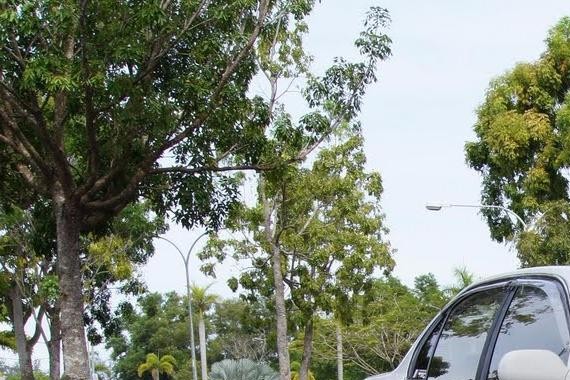 重温经典！丰田卡罗拉 Levin AE101 改装