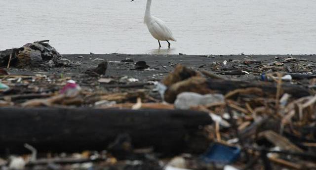 人类破坏地球触目惊心!洪都拉斯旅游天堂成垃