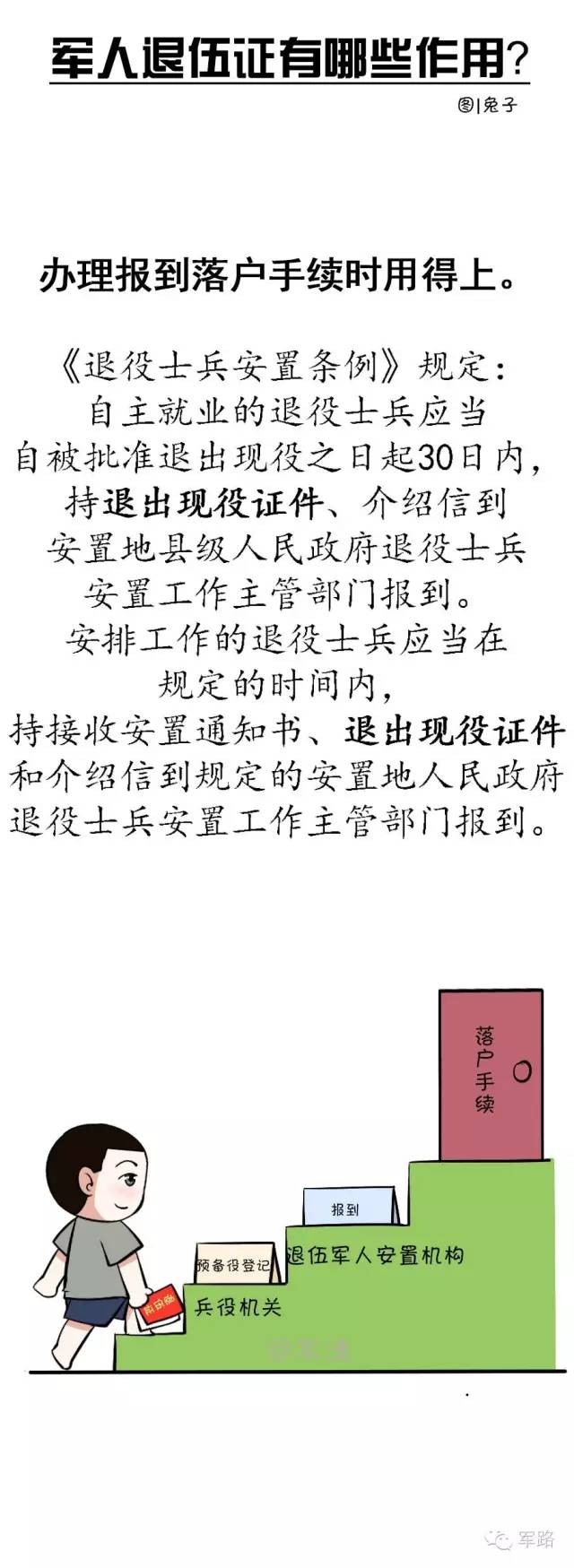 独家揭秘：证人电影下载全攻略及观影体验分享 (证juan)