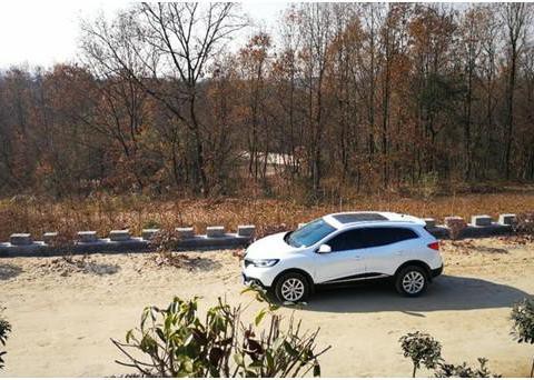 “雷诺“最全资讯一网打尽，有我就够了