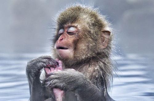 广西冬日“泡汤”线路送给你，约个时间约条好友走起！