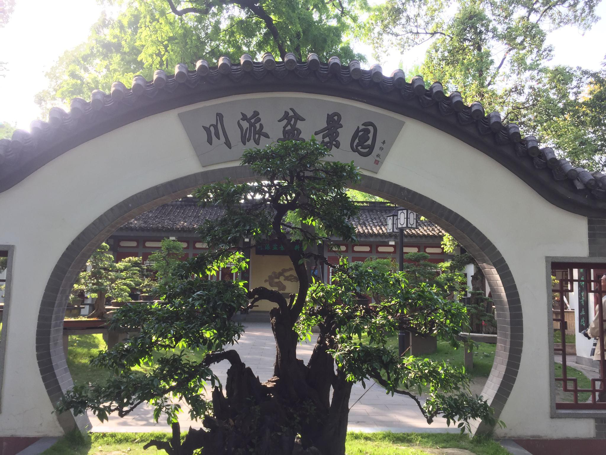 成都百花潭公园,百年川派盆景园