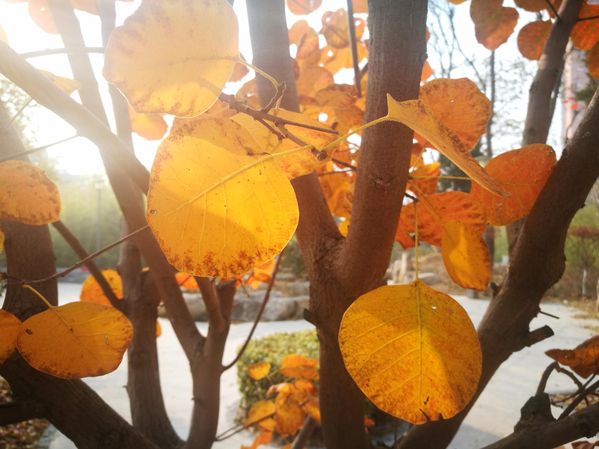 贵州道真地下可燃气体爆炸,百米街道被掀翻!究竟是什...