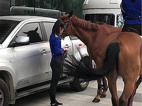 “福特“最全资讯一网打尽，有我就够了