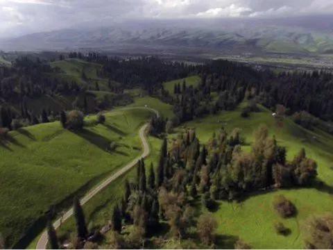 全新 BMW X3：西北偏北 不止有诗歌与远方