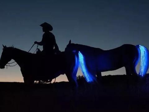 懂车大神请进 只看尾灯你能识别出车型吗?