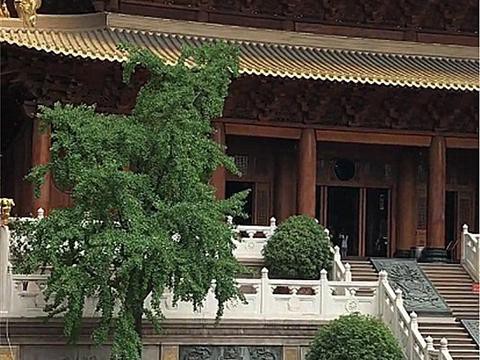 速递!新鲜的“50-70万欧系跑车“资讯全在这，看我就够了