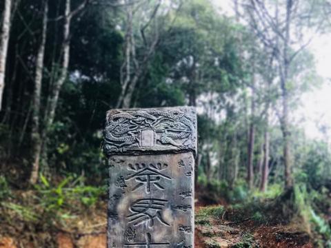 寻冠之路伴茶香 哈弗轻行马帮路