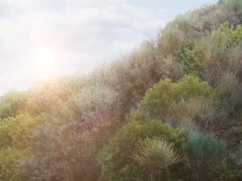 最新最全的“欧系跑车“资讯都在这里，不容错过