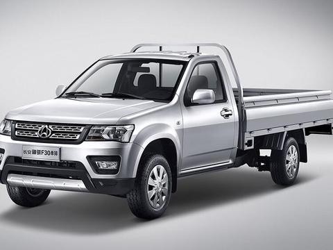 全球“独一无二”的皮卡，出门载货最得力帮手，货车总算可以退休