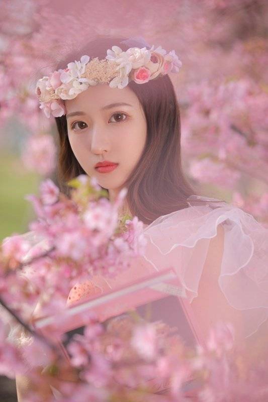 花丛中的美女小姐姐 花美人更美 小姐姐 花丛 美人 新浪新闻