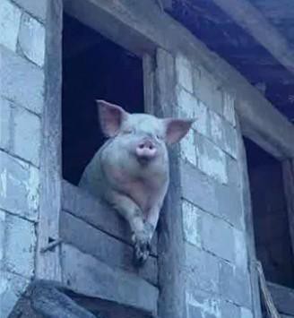 一个开200万大奔的大老板, 他过什么样的日子